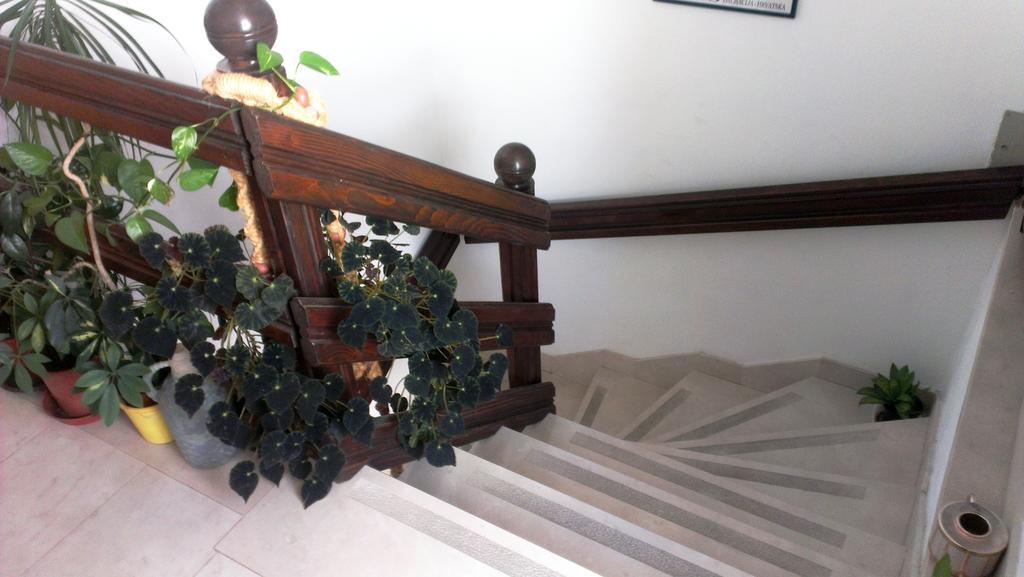 Apartments Ivka Omiš Dış mekan fotoğraf